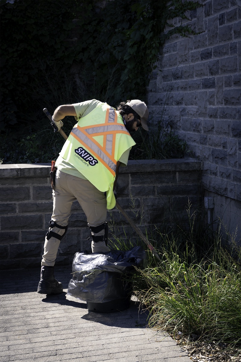 Weeding the Garden Weeding the Garden