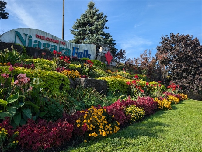 What Does Snips Landscape’s City Beautification Work Involve?