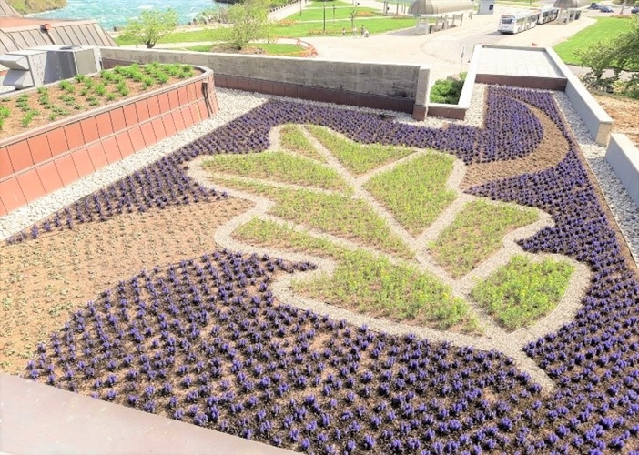 What Are the Benefits of Green Roofs?