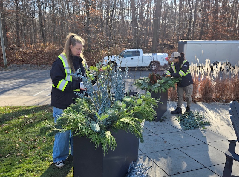Fall Plantings