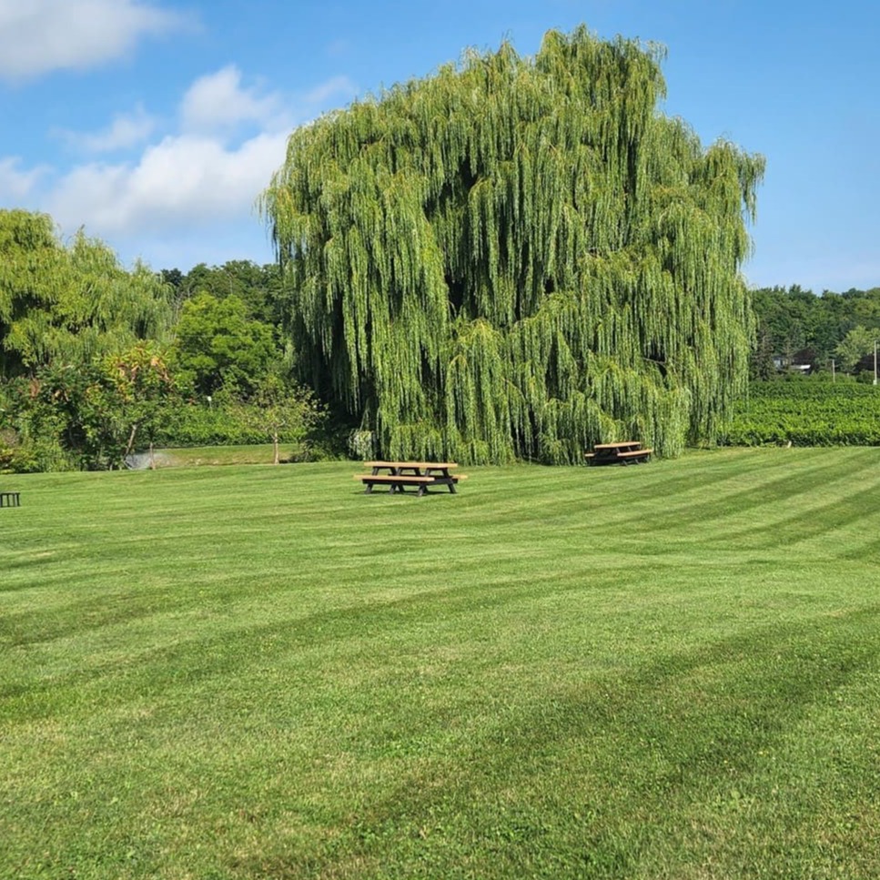 Commercial Services, Lawn Cutting