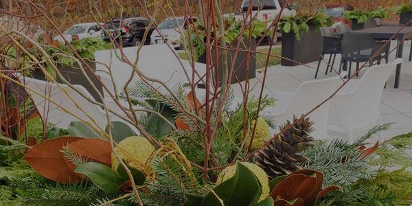 Commercial Landscaping